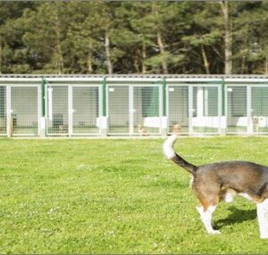 BIENESTAR ANIMAL EN NÚCLEOS ZOOLÓGICOS